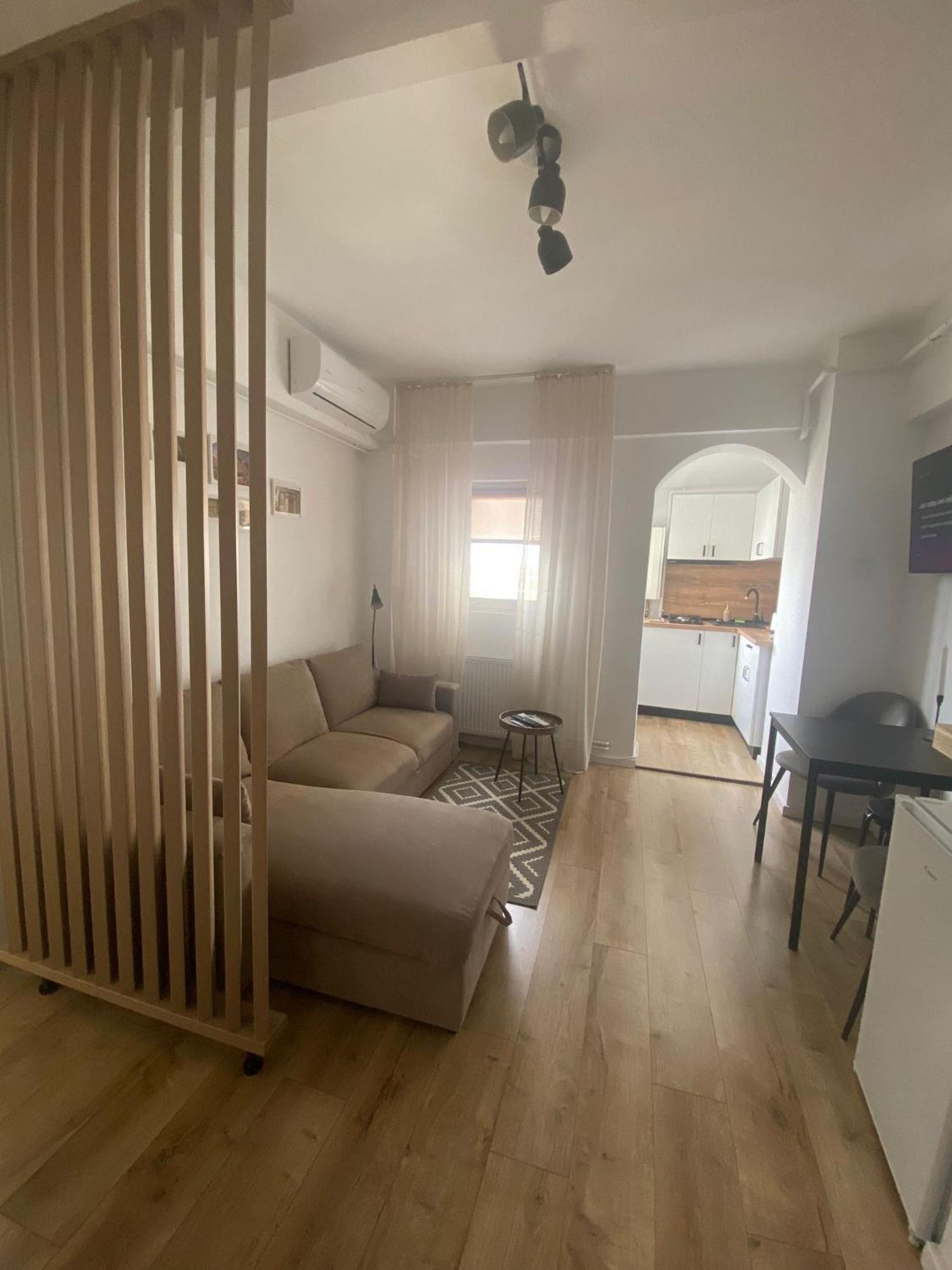 Doinei Cozy Flat Διαμέρισμα Τιμισοάρα Εξωτερικό φωτογραφία