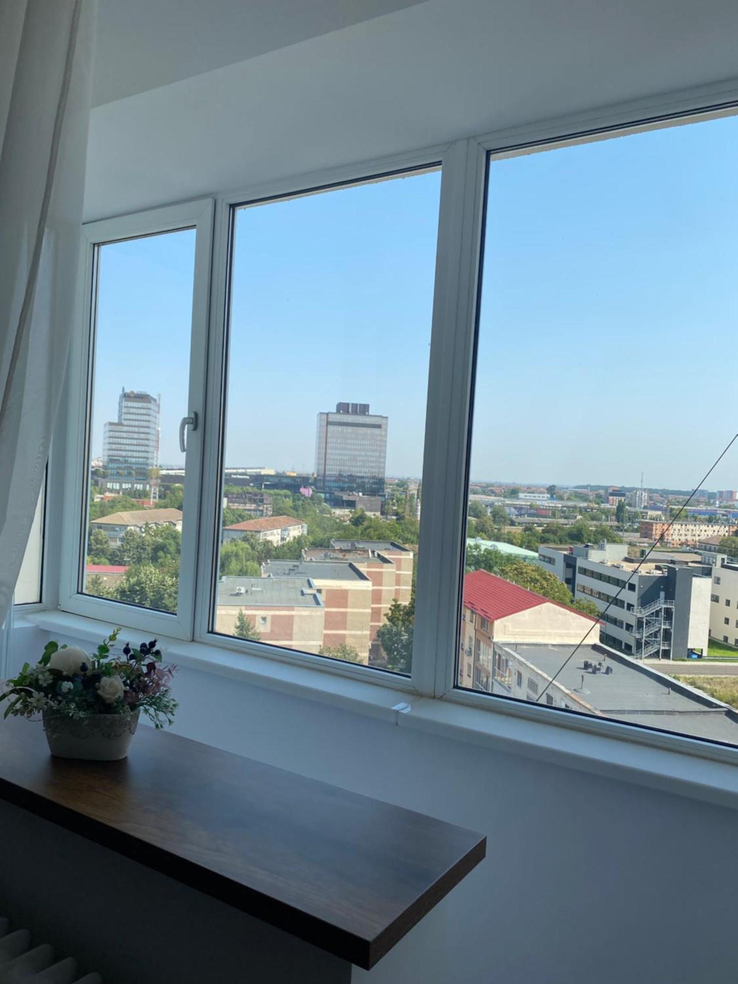 Doinei Cozy Flat Διαμέρισμα Τιμισοάρα Εξωτερικό φωτογραφία